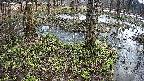 mizubasho3-20250404090042.jpg