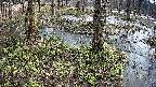 mizubasho3-20250404091042.jpg