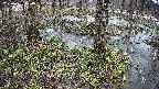 mizubasho3-20250404094042.jpg