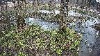 mizubasho3-20250404102042.jpg