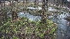 mizubasho3-20250404104040.jpg