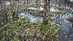 mizubasho3-20250404111043.jpg