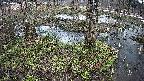 mizubasho3-20250404112043.jpg