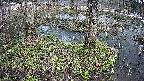 mizubasho3-20250404120042.jpg