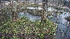 mizubasho3-20250404123039.jpg