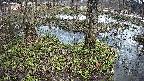 mizubasho3-20250404130043.jpg