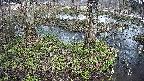 mizubasho3-20250404132044.jpg