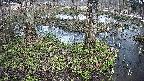 mizubasho3-20250404133040.jpg