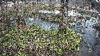 mizubasho3-20250404140043.jpg