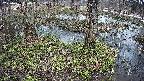 mizubasho3-20250404144043.jpg