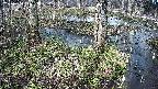 mizubasho3-20250404145043.jpg