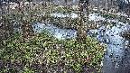 mizubasho3-20250404150044.jpg