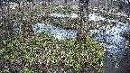 mizubasho3-20250404151043.jpg