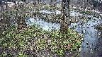 mizubasho3-20250404163041.jpg