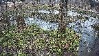 mizubasho3-20250404164040.jpg