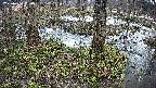mizubasho3-20250404170041.jpg