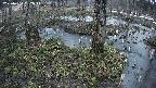 mizubasho3-20250404182042.jpg