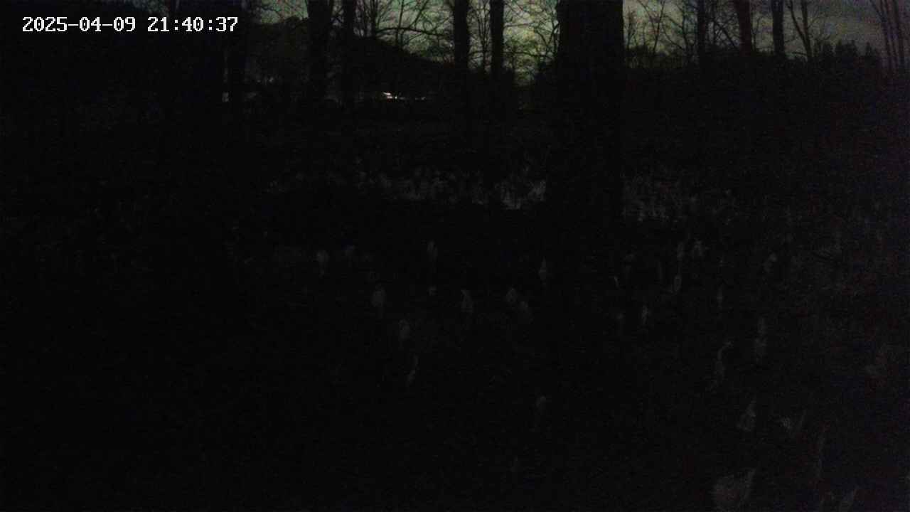 mizubasho3-20250409214038.jpg