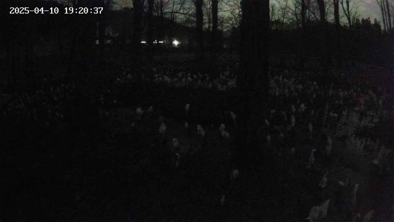 mizubasho3-20250410192038.jpg