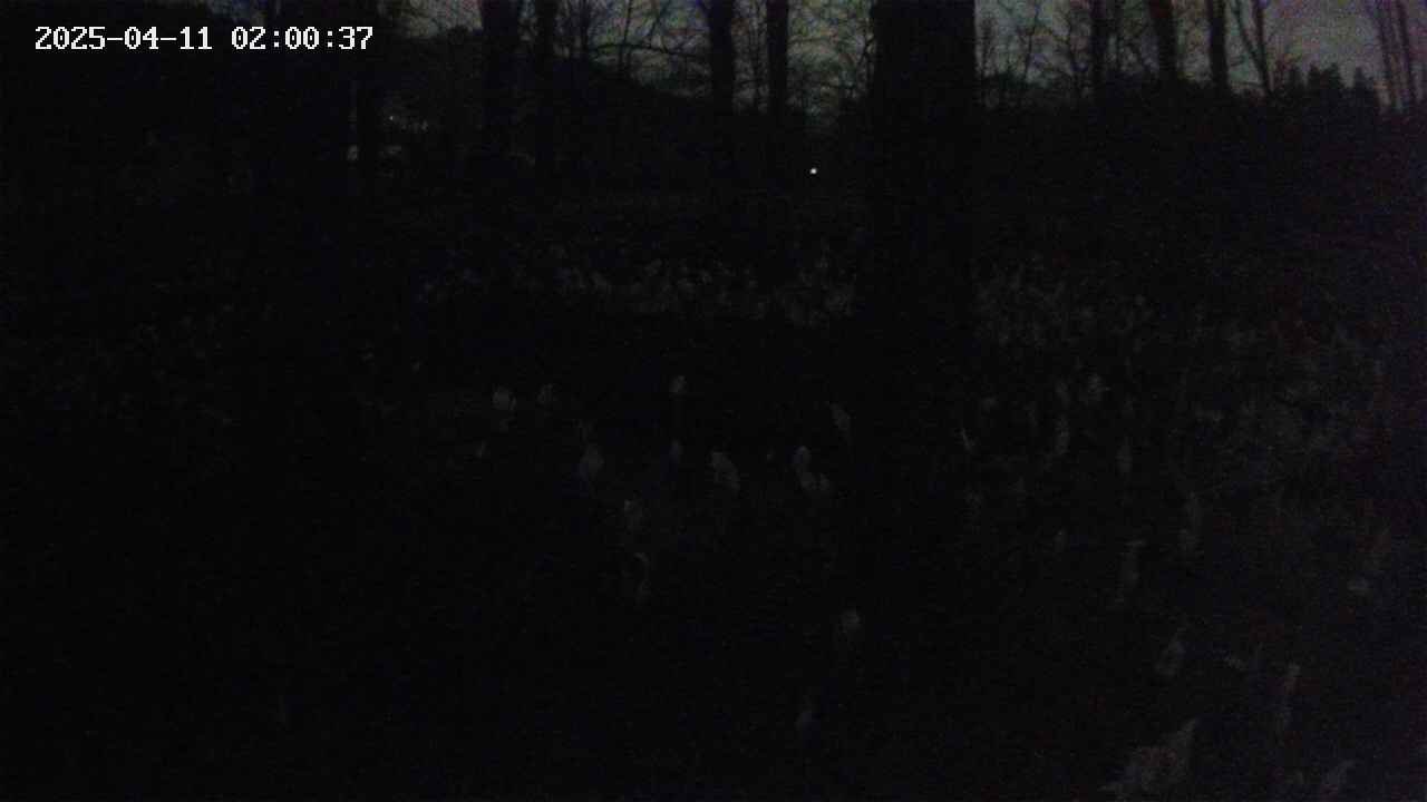 mizubasho3-20250411020038.jpg