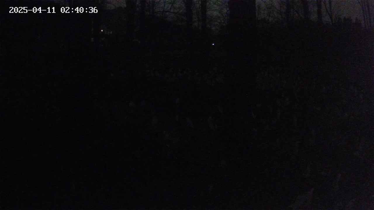 mizubasho3-20250411024037.jpg