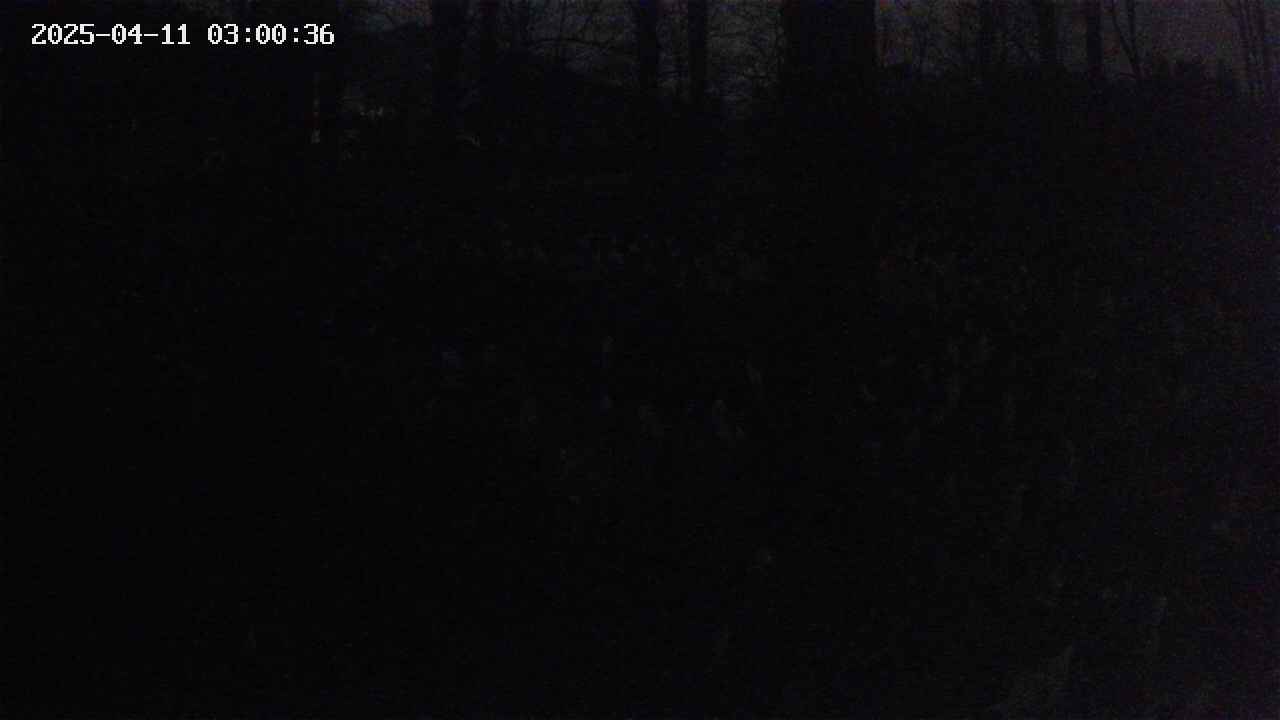 mizubasho3-20250411030037.jpg