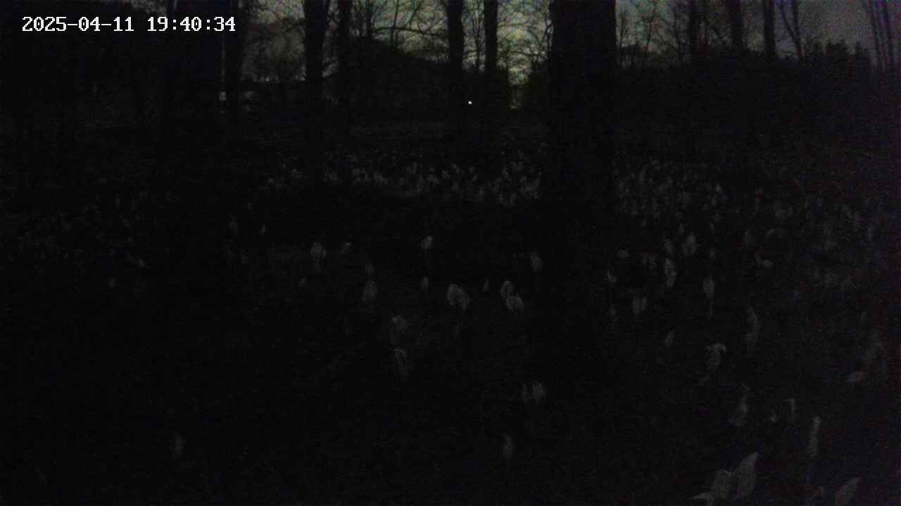 mizubasho3-20250411194035.jpg