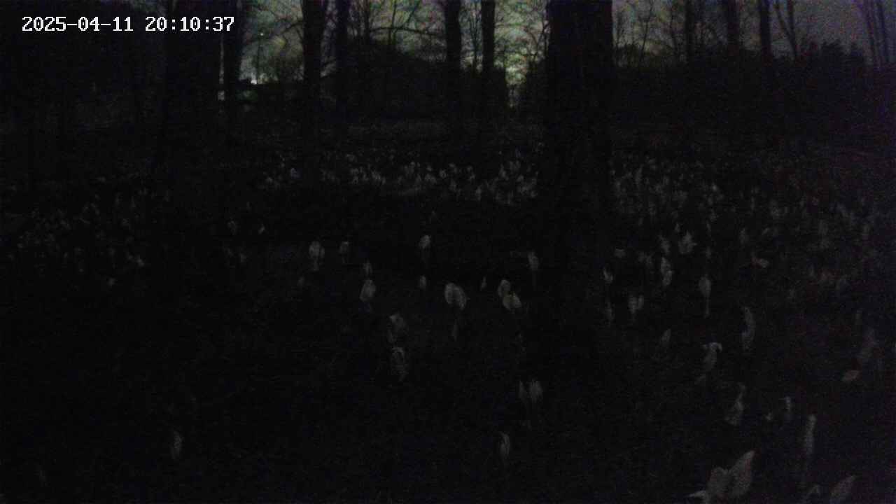 mizubasho3-20250411201040.jpg