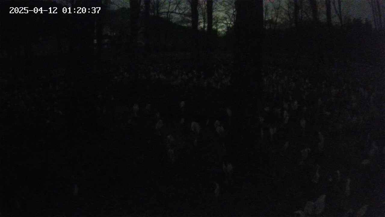 mizubasho3-20250412012038.jpg
