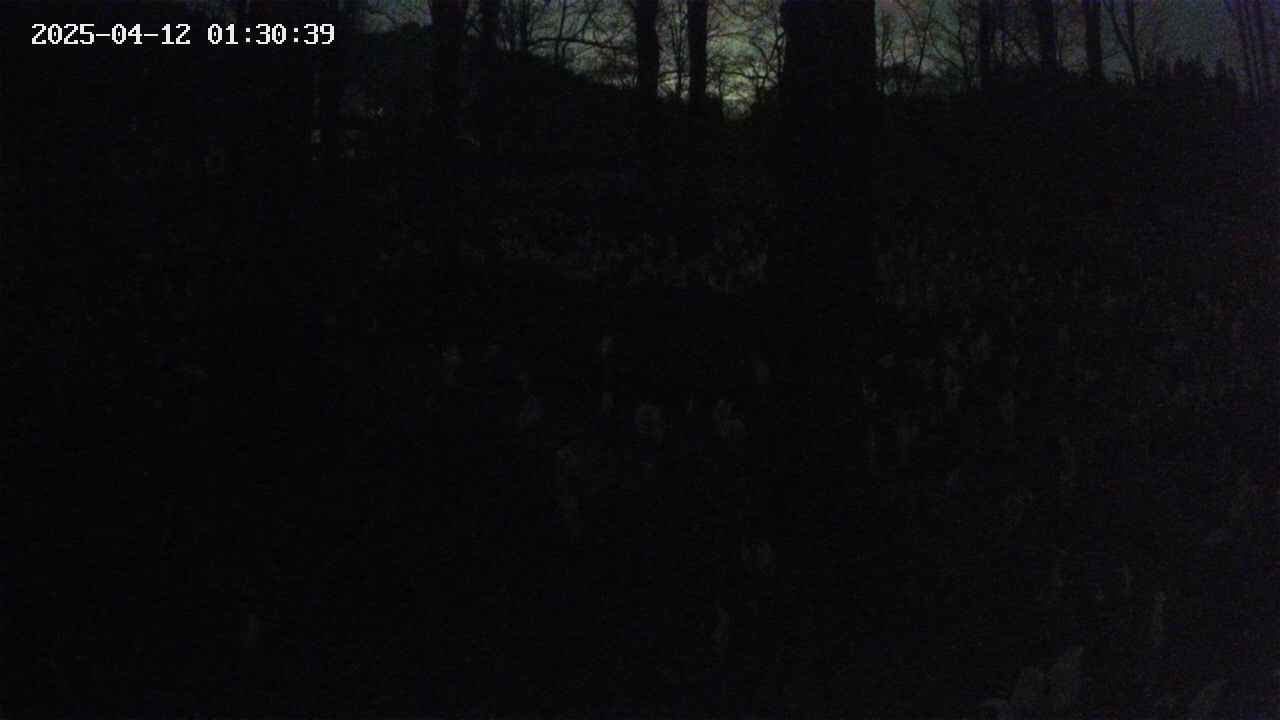 mizubasho3-20250412013040.jpg