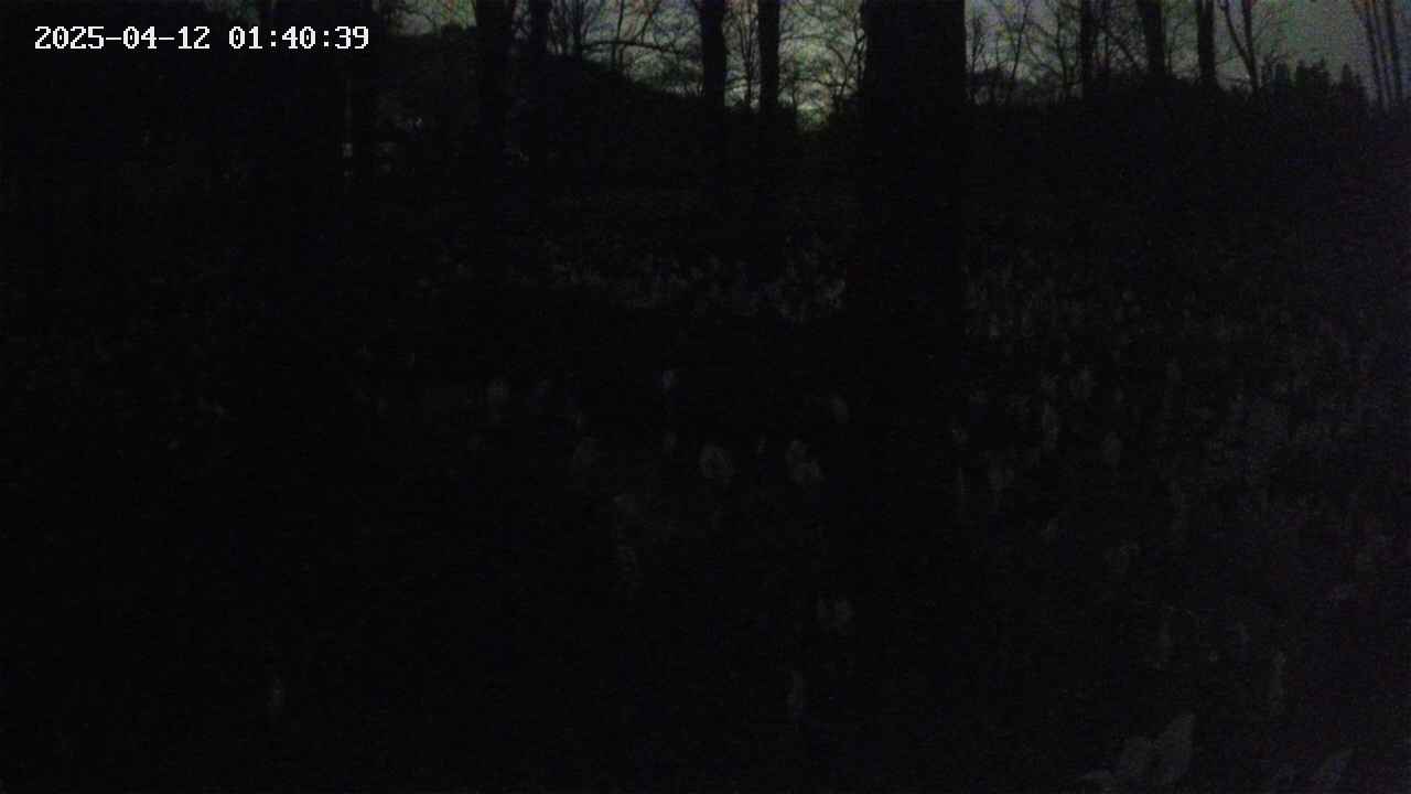 mizubasho3-20250412014040.jpg