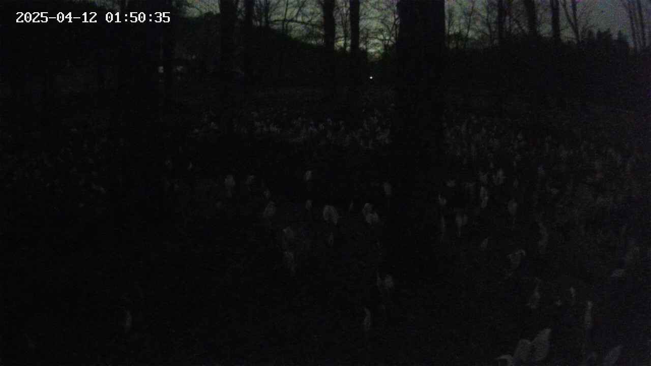 mizubasho3-20250412015036.jpg