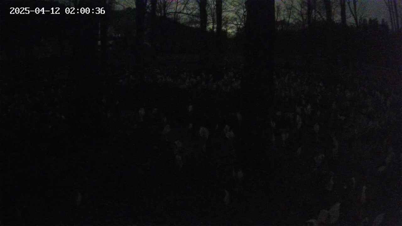 mizubasho3-20250412020037.jpg