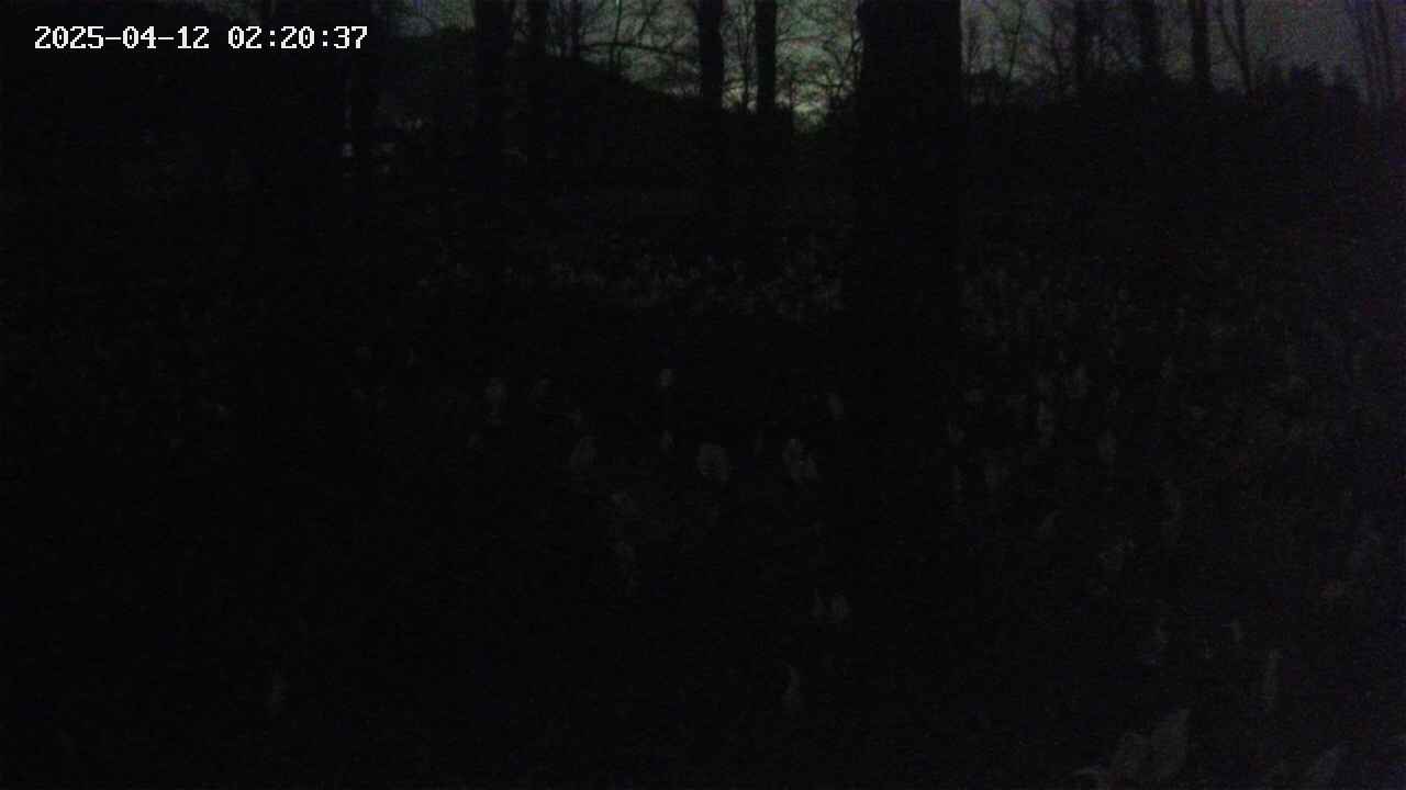 mizubasho3-20250412022038.jpg