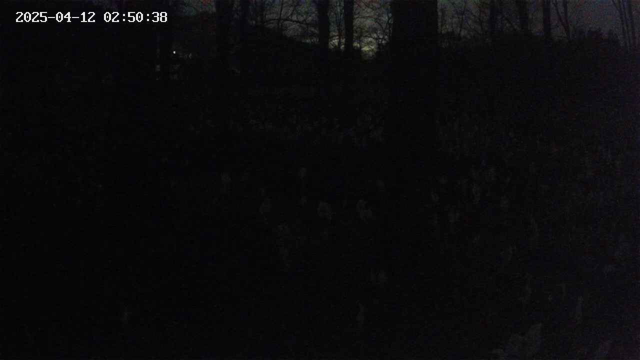 mizubasho3-20250412025039.jpg