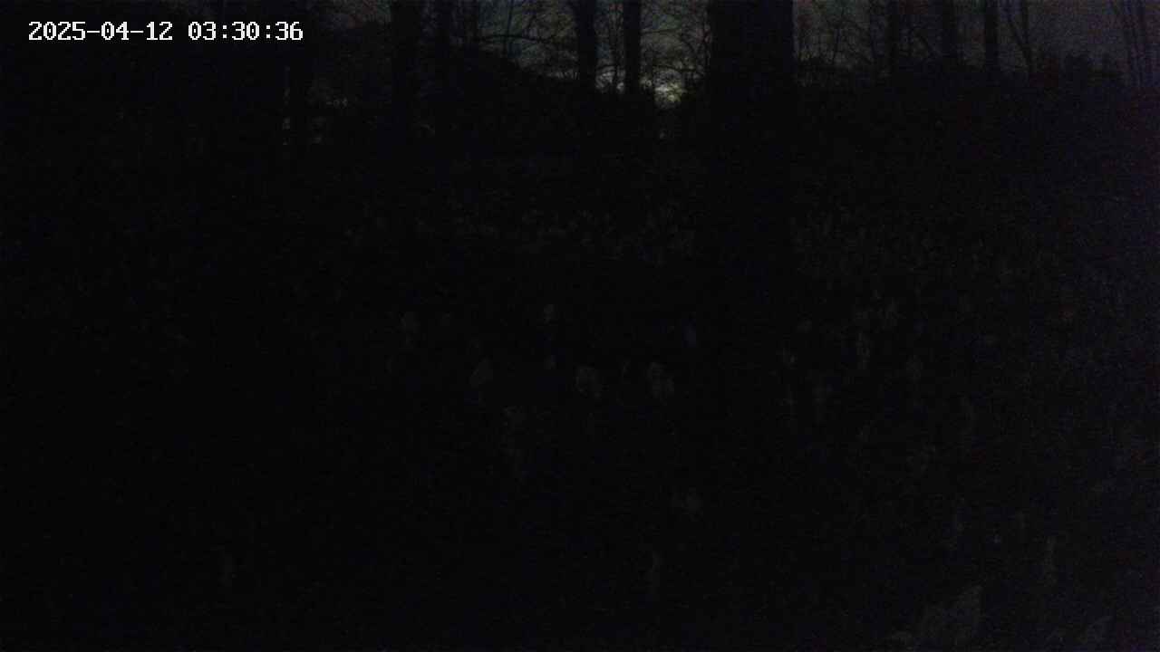 mizubasho3-20250412033037.jpg