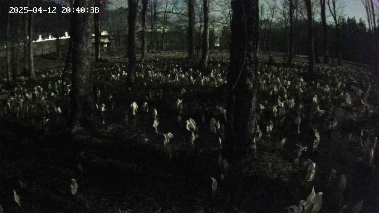 mizubasho3-20250412204039.jpg