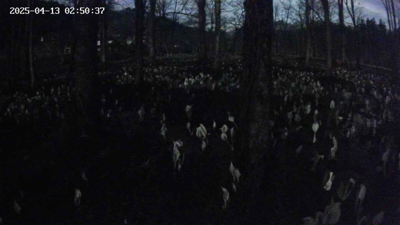 mizubasho3-20250413025038.jpg