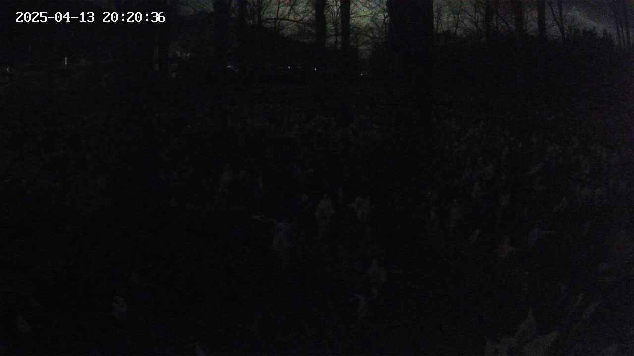 mizubasho3-20250413202037.jpg