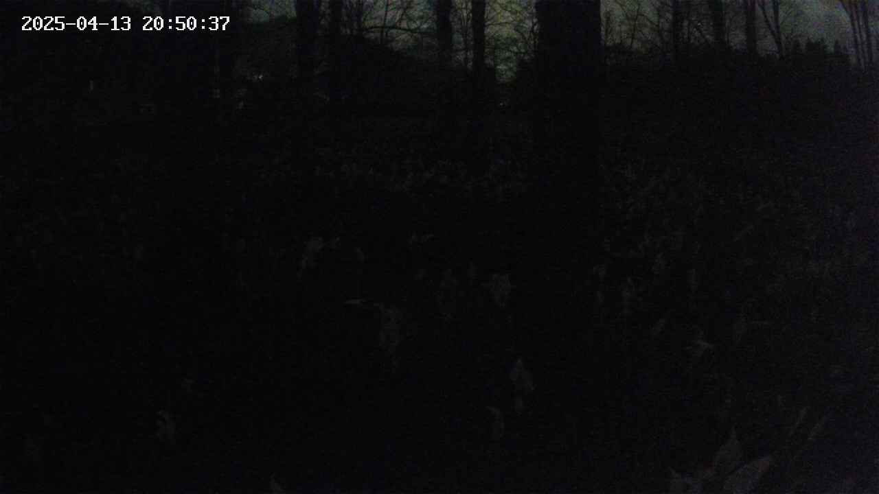 mizubasho3-20250413205038.jpg