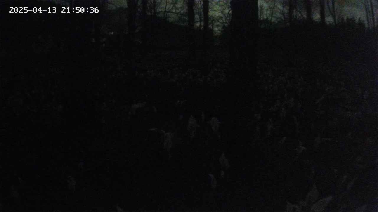 mizubasho3-20250413215037.jpg