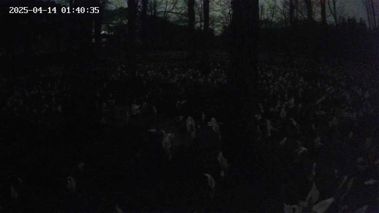 mizubasho3-20250414014036.jpg
