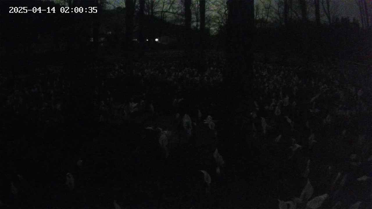 mizubasho3-20250414020036.jpg