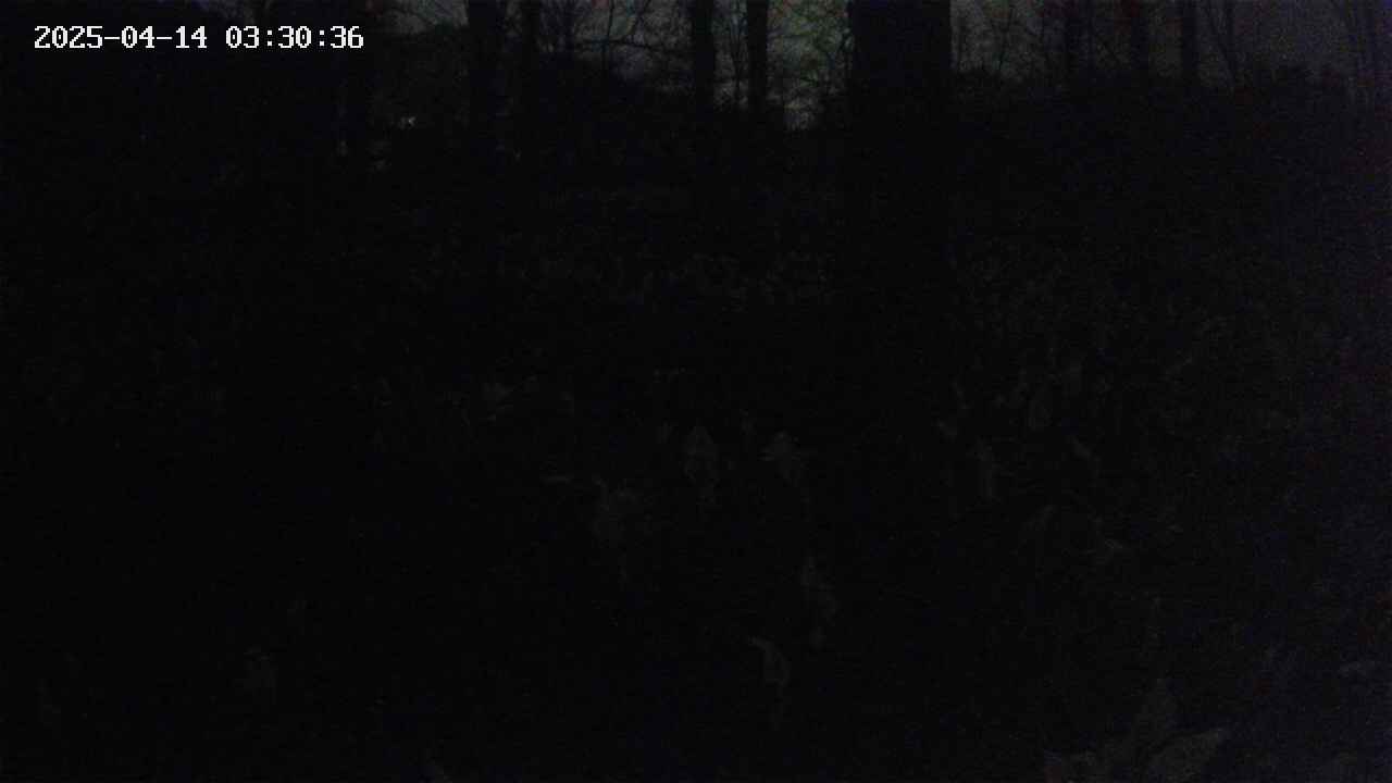 mizubasho3-20250414033037.jpg