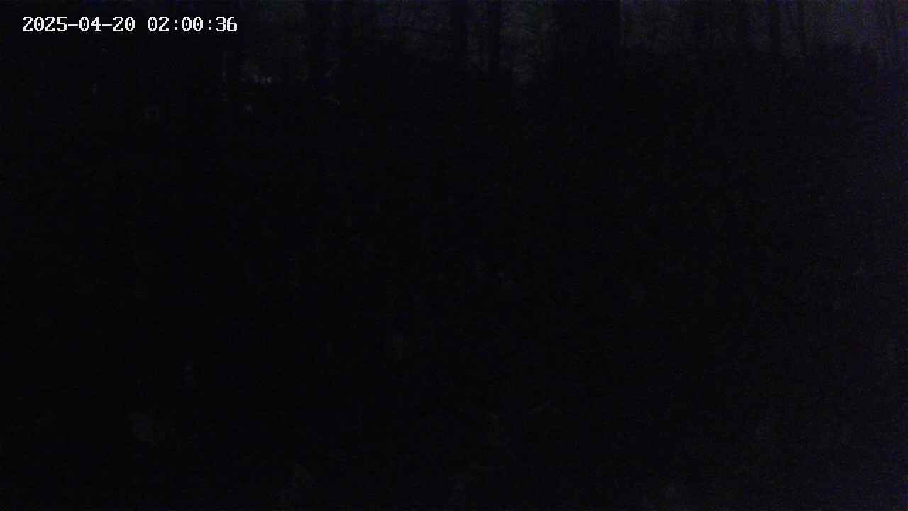 mizubasho3-20250420020037.jpg