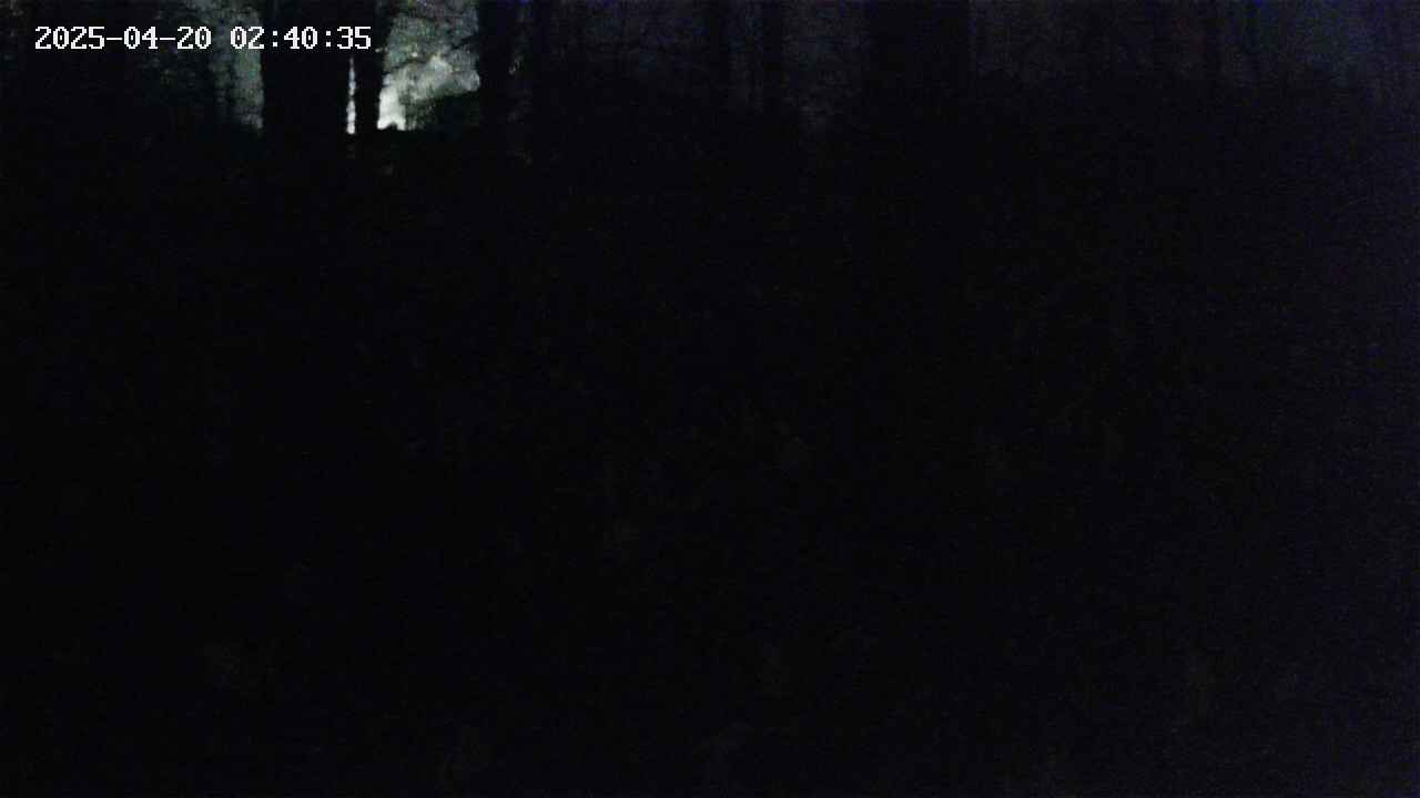 mizubasho3-20250420024037.jpg