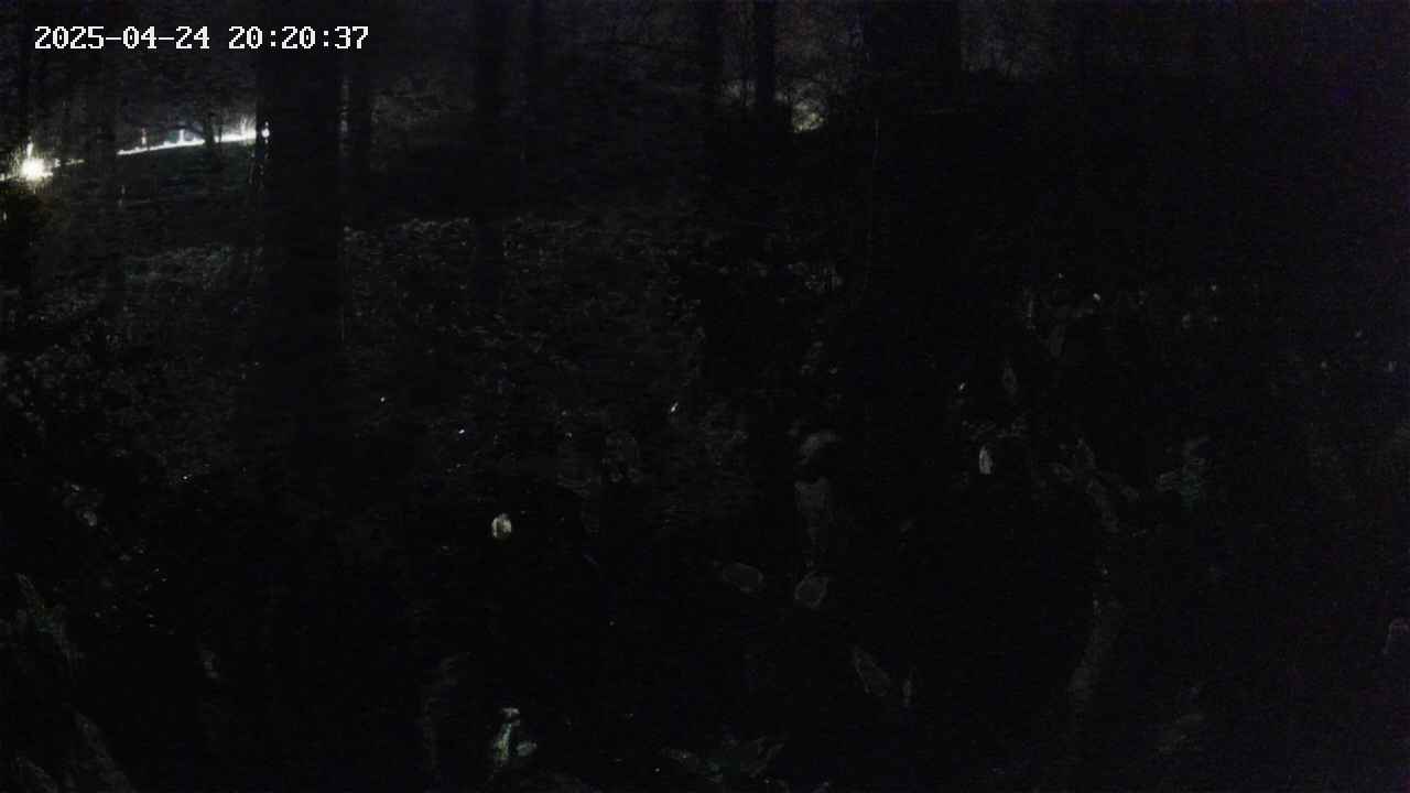mizubasho3-20250424202037.jpg