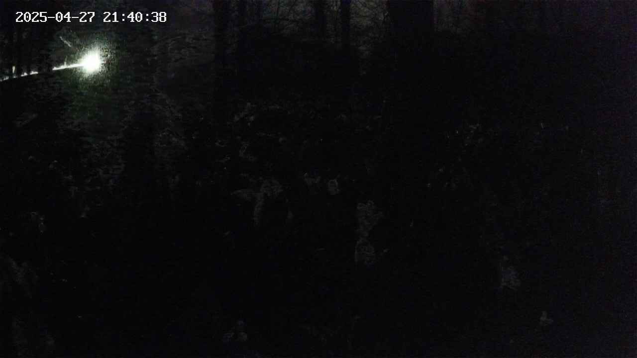 mizubasho3-20250427214039.jpg