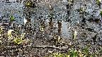 mizubasho4-20240404114115.jpg