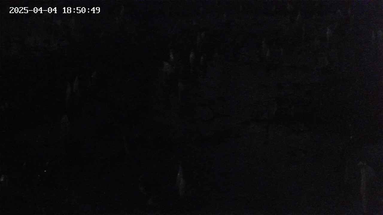 mizubasho4-20250404185049.jpg